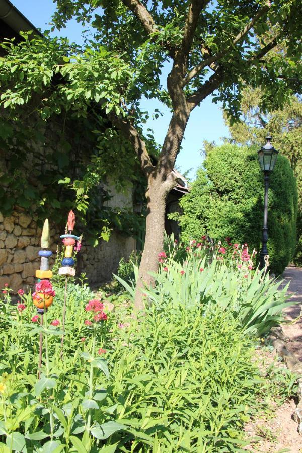 Bio-Weingut, Gaestehaus Und Kraeuterhof Flomborn Ngoại thất bức ảnh