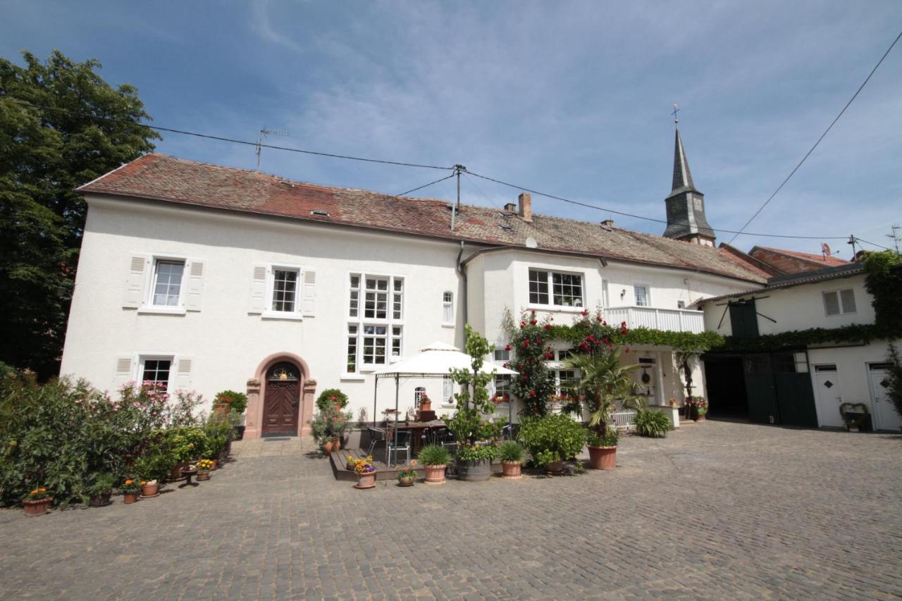 Bio-Weingut, Gaestehaus Und Kraeuterhof Flomborn Ngoại thất bức ảnh