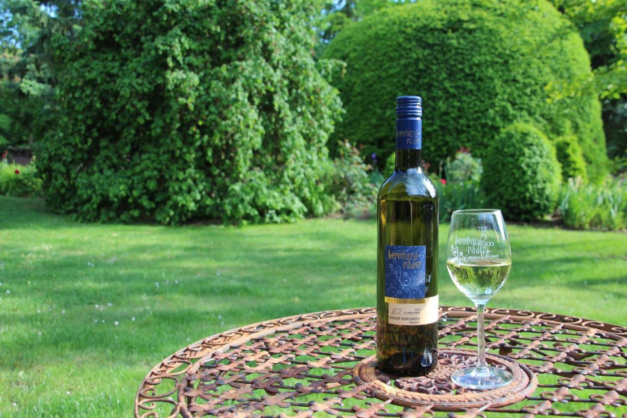 Bio-Weingut, Gaestehaus Und Kraeuterhof Flomborn Ngoại thất bức ảnh
