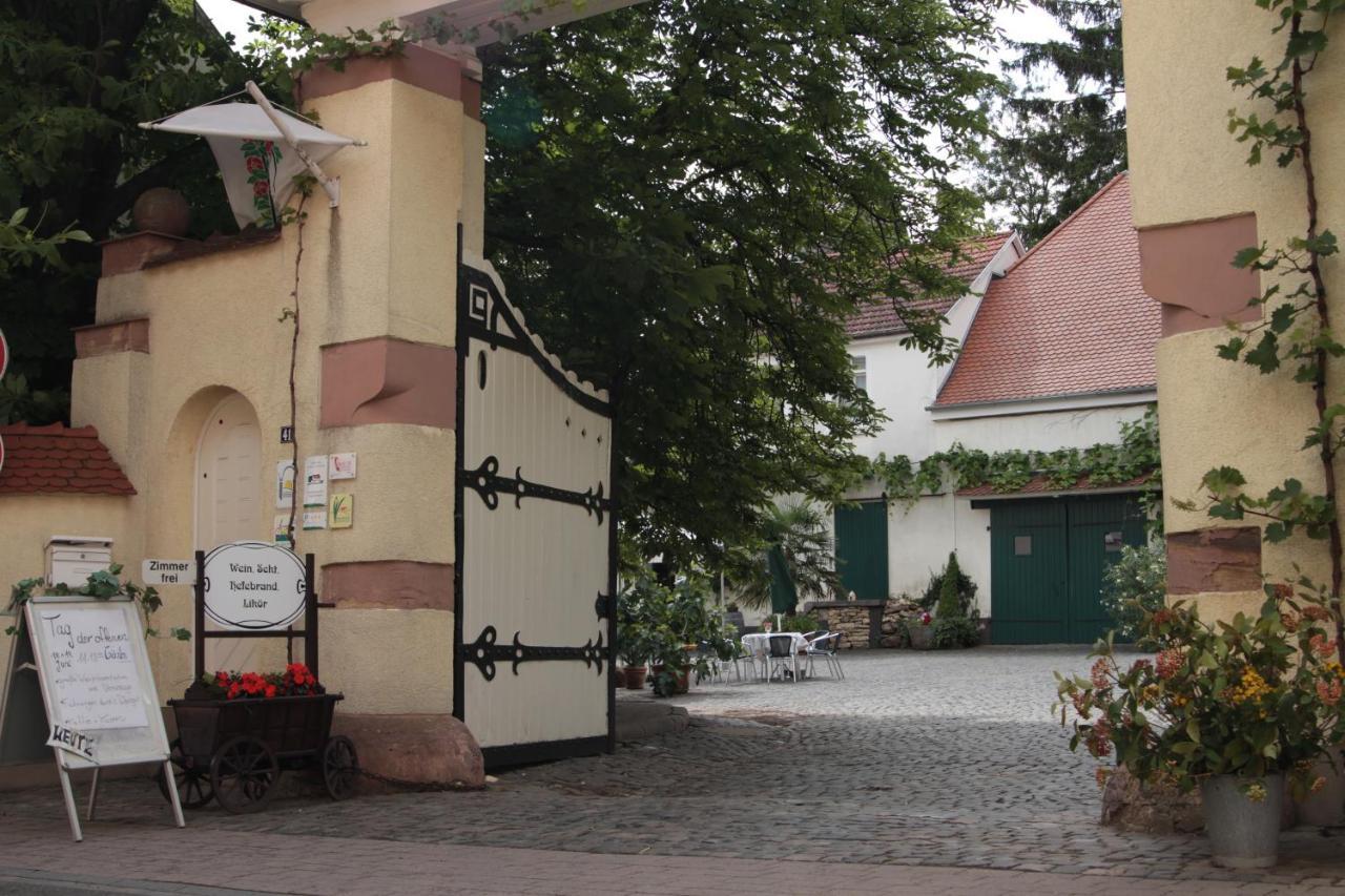 Bio-Weingut, Gaestehaus Und Kraeuterhof Flomborn Ngoại thất bức ảnh