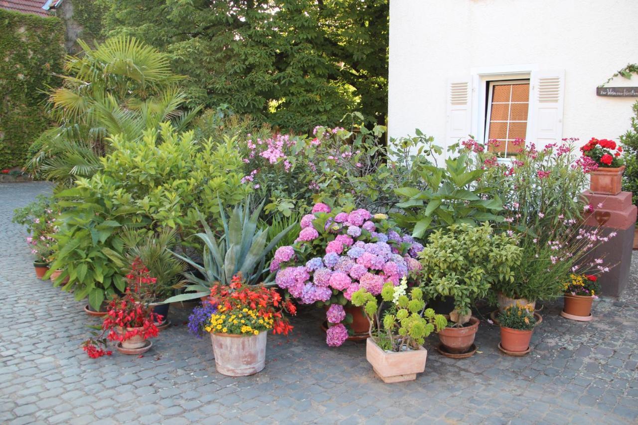 Bio-Weingut, Gaestehaus Und Kraeuterhof Flomborn Ngoại thất bức ảnh