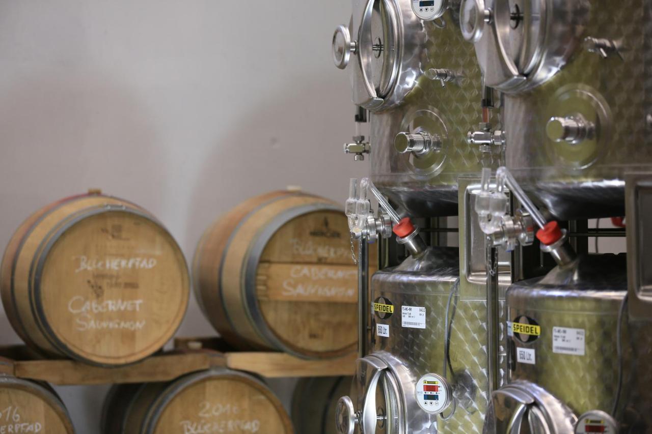 Bio-Weingut, Gaestehaus Und Kraeuterhof Flomborn Ngoại thất bức ảnh