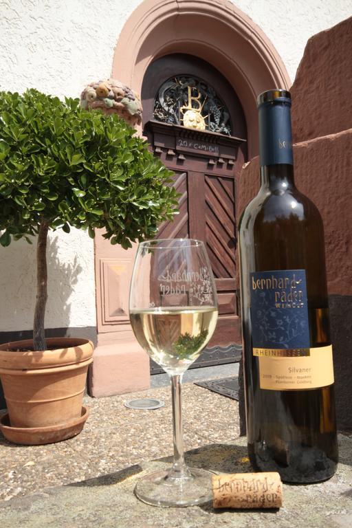Bio-Weingut, Gaestehaus Und Kraeuterhof Flomborn Ngoại thất bức ảnh